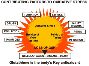 GLUTATHIONE is the body's Key Antioxidant